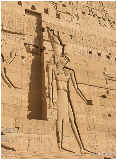 image (7)